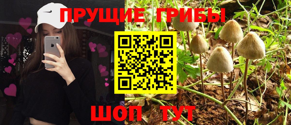 Галлюциногенные грибы MAGIC MUSHROOMS Касимов