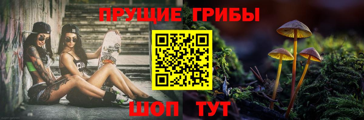 ГАШИШ  Касимов  МАРИХУАНА  MDMA  Кокаин  Гашиш  Меф МЯУ МЯУ   Вход с VPN 