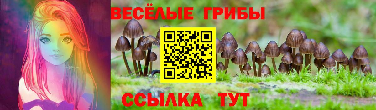 Галлюциногенные грибы Magic Shrooms  Вход с VPN  Касимов 